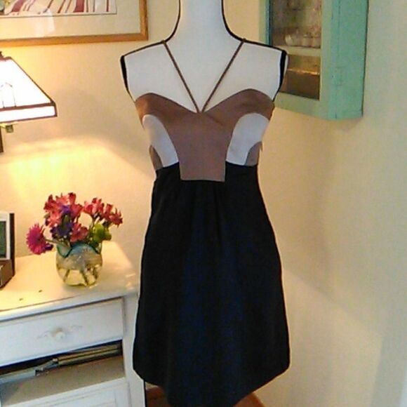 Thorn by Nancy Rose Silk Color Block Dress - Picture 1 of 13